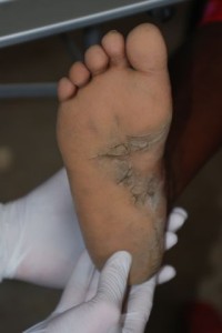 6a00e552ed7b7588330133ef63148f970b-320wi