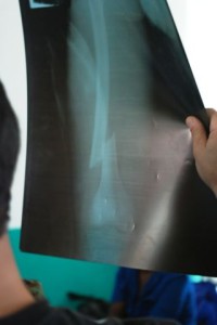 6a00e552ed7b758833012876ffe325970c-320wi